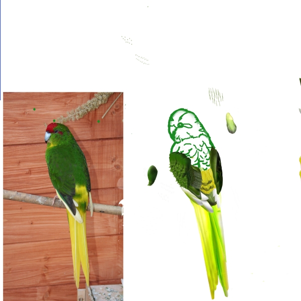 Creation of Jungle Life: Step 13